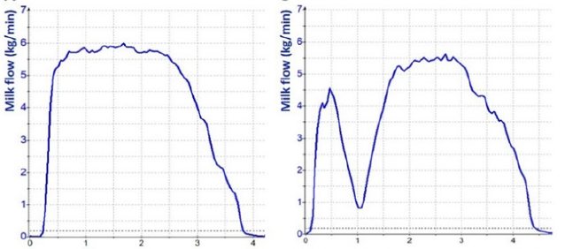 Side-by-side line graphs showing milk flow (kg/min) over time during milking. The left graph shows a smooth, rapid rise to a sustained plateau around 5&ndash;6 kg/min, followed by a gradual decline to zero. The right graph shows a bimodal pattern: an initial rise and short peak, a noticeable dip in milk flow, then a second sustained rise to around 5&ndash;5.5 kg/min before gradually declining to zero.